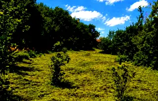 Парцел в Перник, с. Радуй