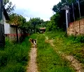 Снимка 3 — Парцел в Перник, с. Радуй