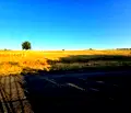 Снимка 3 — Парцел в Кърджали, с. Резбарци