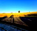 Снимка 4 — Парцел в Кърджали, с. Резбарци