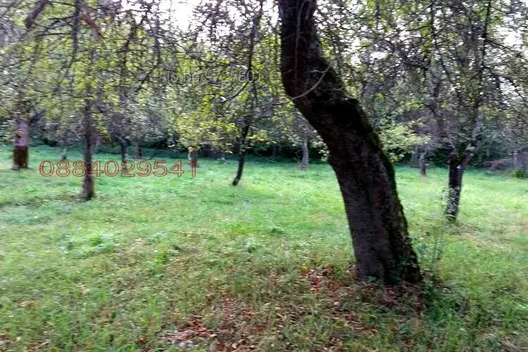 Plot in Oblast Lovech, Ribarica