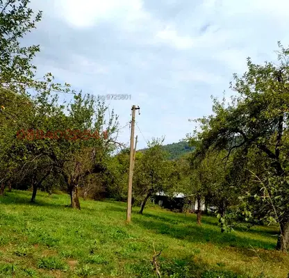 Photo 4 — Plot in Oblast Lovech, Ribarica