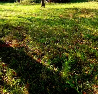 Photo 5 — Plot in Oblast Lovech, Ribarica