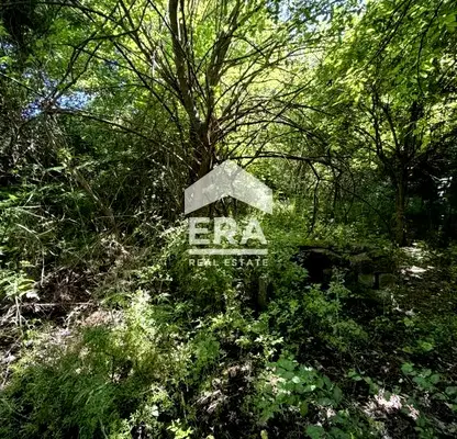 Photo 2 — Plot in Oblast Veliko Tyrnovo, Rusalya
