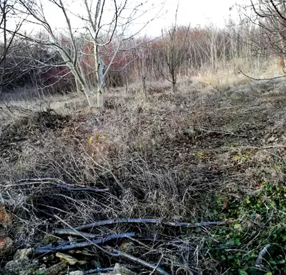 Photo 2 — Plot in Oblast Dobrich, Staevci