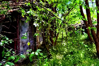 Парцел в Стара Загора, с. Сърнево