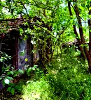Парцел в Стара Загора, с. Сърнево