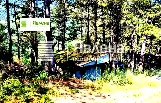Парцел в София, с. Владо Тричков