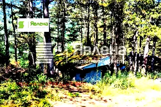 Парцел в София, с. Владо Тричков
