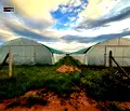 Снимка 3 — Парцел в с. Войнеговци