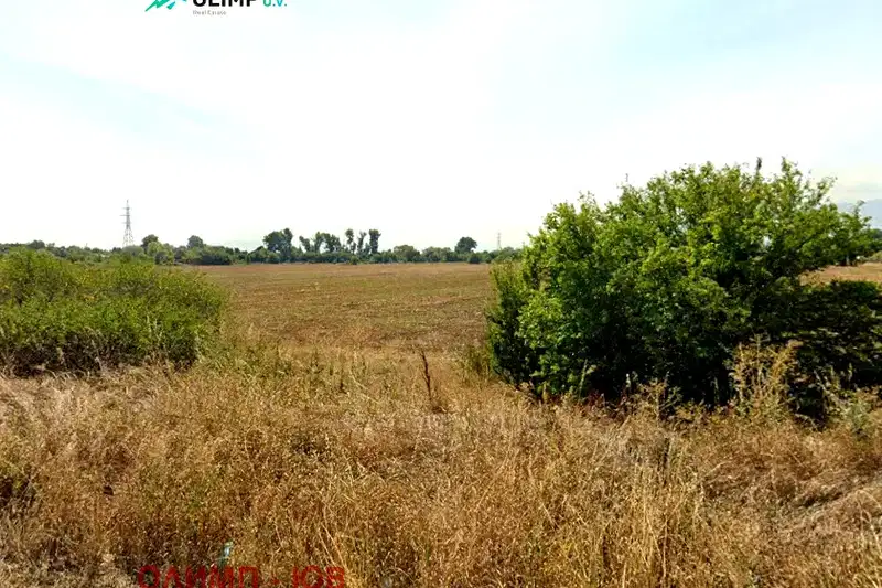 Plot in Sofiya, Benkovski