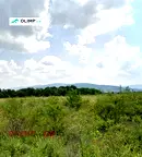 Парцел в София, Експериментален