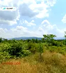 Парцел в София, Експериментален