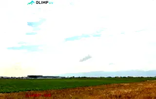 Парцел в София, Враждебна