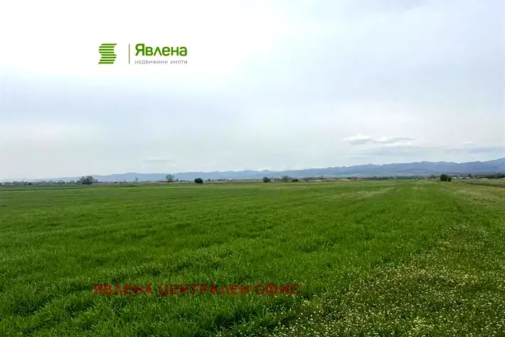 Парцел в София, Враждебна
