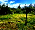 Снимка 5 — Парцел във Варна, м-т Боровец - юг