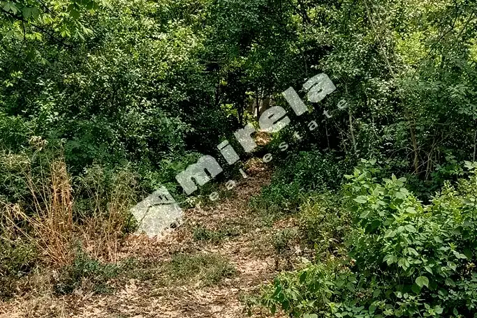 Plot in Varna, Planova