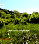 Парцел във Варна, м-т Сълзица