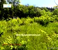 Снимка 2 — Парцел във Варна, м-т Сълзица