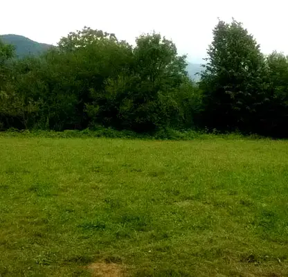 Photo 2 — Plot in Oblast Montana, Vyrshec