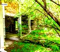 Снимка 4 — Промишлена сграда в Плевен, Кайлъка