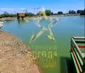 Снимка 4 — Земеделски имот в Пазарджик, с. Главиница
