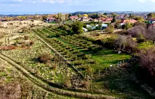 Земеделски имот във Варна, с. Горица