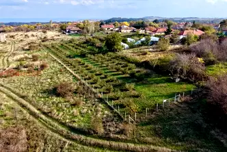 Земеделски имот във Варна, с. Горица