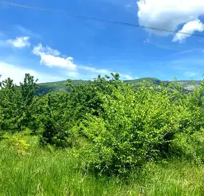 Photo 2 — Agricultural Land in Oblast Kyustendil, Gorna Grashtica
