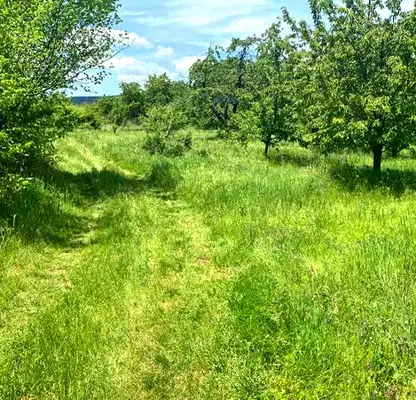 Photo 5 — Agricultural Land in Oblast Kyustendil, Gorna Grashtica