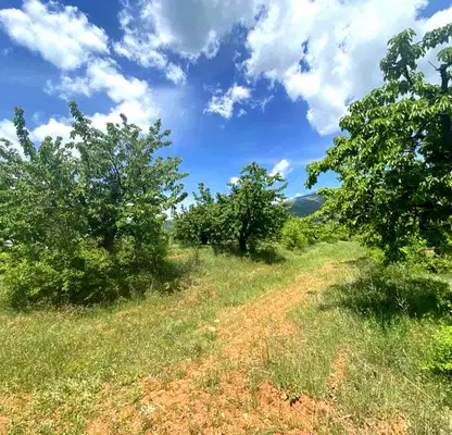 Photo 2 — Agricultural Land in Oblast Kyustendil, Gorna Grashtica