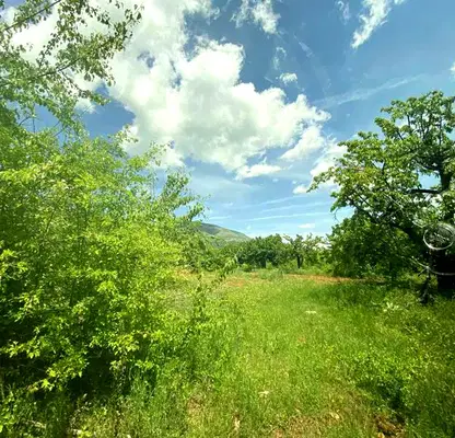 Photo 3 — Agricultural Land in Oblast Kyustendil, Gorna Grashtica