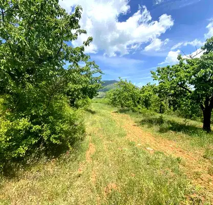 Photo 4 — Agricultural Land in Oblast Kyustendil, Gorna Grashtica