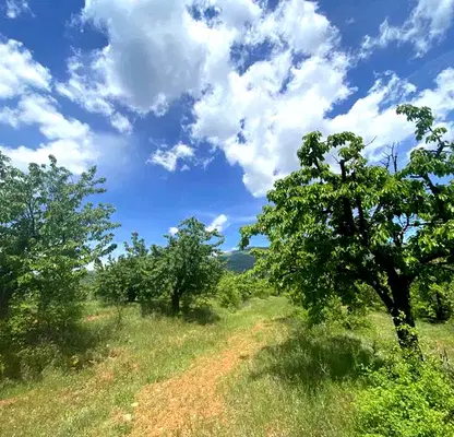 Photo 5 — Agricultural Land in Oblast Kyustendil, Gorna Grashtica
