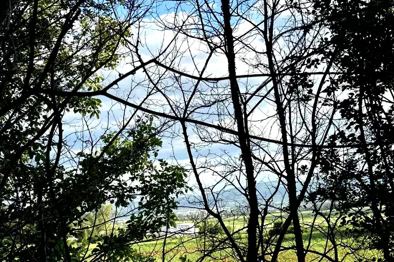 Agricultural Land in област София, Grigorevo