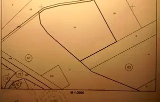 Земеделски имот в Монтана, с. Мърчево