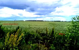 Земеделски имот в Добрич, с. Раковски