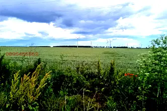 Земеделски имот в Добрич, с. Раковски