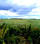 Земеделски имот в Добрич, с. Раковски
