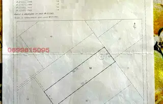 Земеделски имот в Добрич, с. Селце