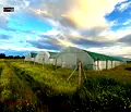 Снимка 2 — Земеделски имот в София, с. Войнеговци