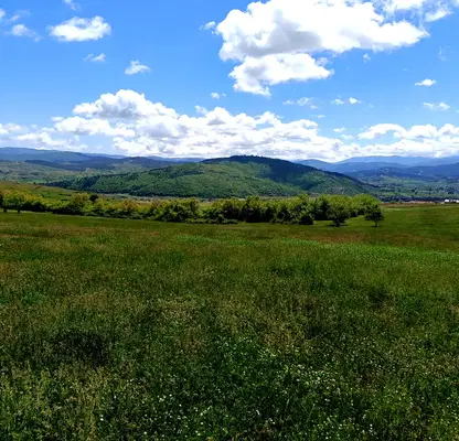 Photo 2 — Agricultural Land in Oblast Pazardjik, Велин