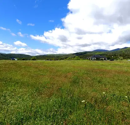 Photo 4 — Agricultural Land in Oblast Pazardjik, Велин