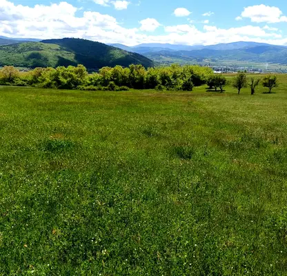 Photo 5 — Agricultural Land in Oblast Pazardjik, Велин