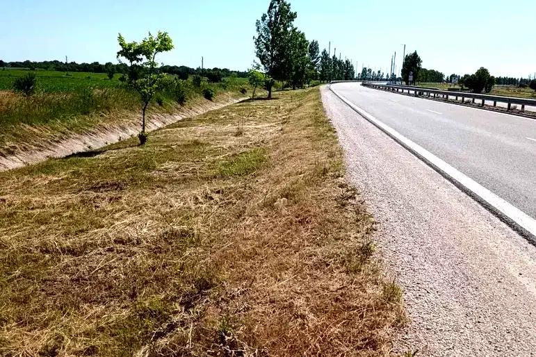 Земеделски имот във Видин, Видин