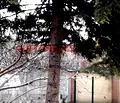 Снимка 3 — Етаж от къща в Пловдив, Център
