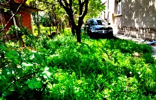 Етаж от къща в Кюстендил, с. Соволяно