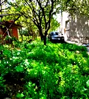 Етаж от къща в Кюстендил, с. Соволяно