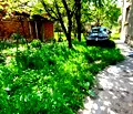 Снимка 3 — Етаж от къща в Кюстендил, с. Соволяно
