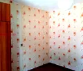 Снимка 4 — Етаж от къща в София, Орландовци